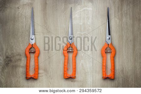 Vine Grape Long Nose Pruner With Orange Handles. Top View. View From Above Isolated On Wooden Backgr