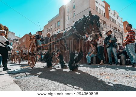 Reus, Spain. March 2019: Horse Pulling A Coach Around The City Centre In The Tres Tombs Festival Cav