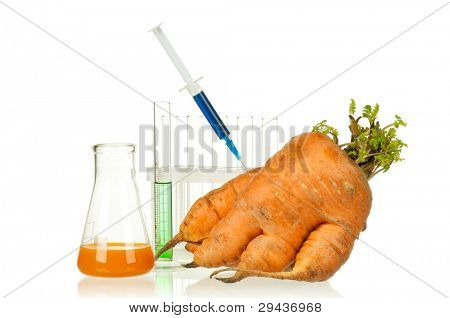 Geneticky modifikovaný organismus - zralé mrkev s injekční stříkačky a laboratorní sklo na bílém poz