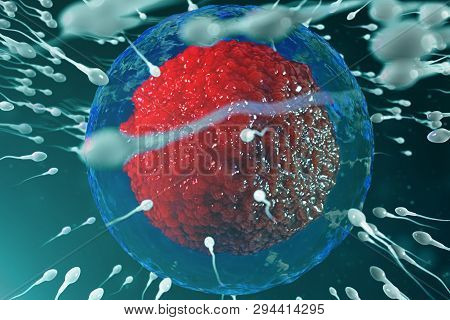 3d Illustration Sperm And Egg Cell, Ovum. Sperm Approaching Egg Cell. Native And Natural Fertilizati