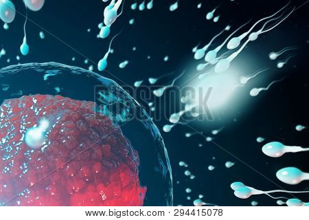 3d Illustration Sperm And Egg Cell, Ovum. Sperm Approaching Egg Cell. Native And Natural Fertilizati