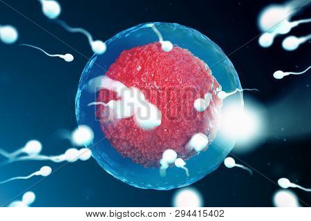 3d Illustration Sperm And Egg Cell, Ovum. Sperm Approaching Egg Cell. Native And Natural Fertilizati