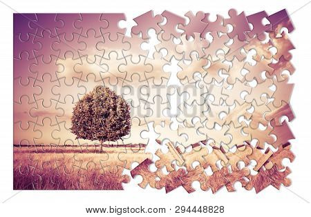Isolated Tree In A Tuscany Wheatfield In Shape Of Puzzle - (tuscany - Italy - Toned Image)