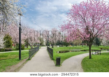 Bialogard, West Pomeranian / Poland - 2019: Residents Of The City Are Resting In A Blossoming Spring