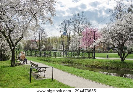 Bialogard, West Pomeranian / Poland - 2019: Women With A Dog Rest On A Bench In A Spring City Park