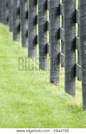Kentucky paard boerderij