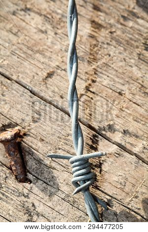 This Is A Detail Of A Barbed Wire