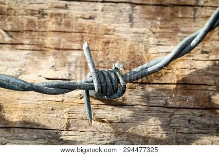 This Is A Detail Of A Barbed Wire