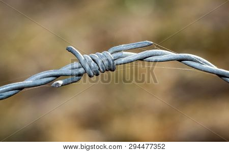 This Is A Detail Of A Barbed Wire