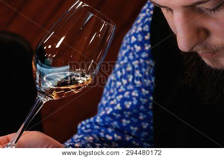 Cavist. Training In School Sommelier. Wine School. Wine Tasting. Tinted