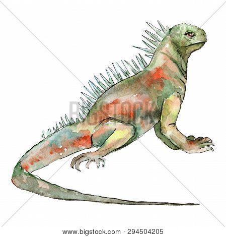 Exotic Animal Wild Animal In A Watercolor Style. Background Illustration Set. Isolated Reptilia Illu