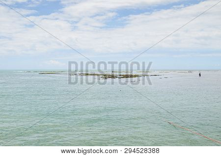 In The Middle Of Sea, Banks Of Corals Of Caribessa, Bessa Beach (praia Do Bessa) At Joao Pessoa, Bra