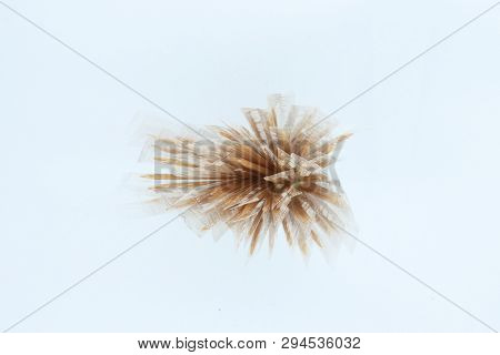Bamboo Toothpick In Plastic Wrap Isolated On White Background.