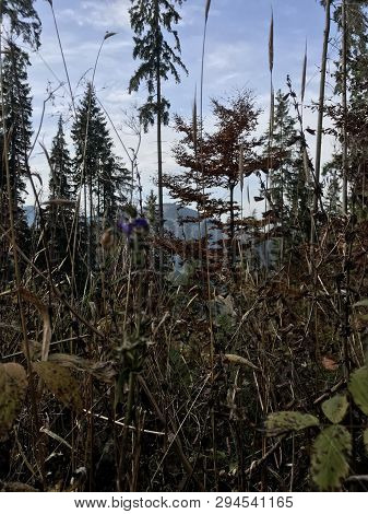 The Woods Are Lovely, Dark And Deep. But I Have Promises To Keep, And Miles To Go Before I Sleep.
-r