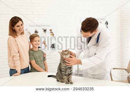 Mother And Son With Their Pet Visiting Veterinarian In Clinic. Doc Examining Cat