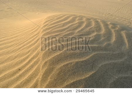 sand beach texture