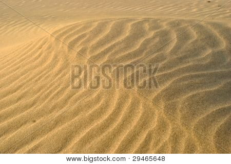sand beach texture