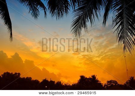 sunset