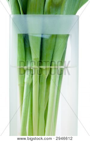Tiges de tulipes dans un Vase