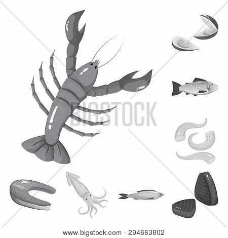Vector Design Of Seafood And Healthy Sign. Set Of Seafood And Ocean Vector Icon For Stock.