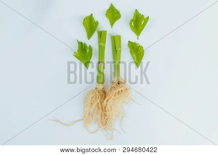 Fresh Green Celery Vegetable Of Celery Root On White Background With Cilpping Path
