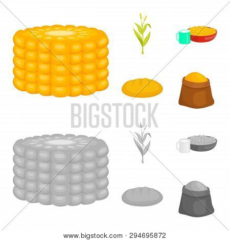 Vector Illustration Of Cornfield And Vegetable Icon. Set Of Cornfield And Vegetarian Vector Icon For