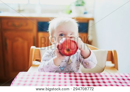 Cute Baby Girl Eating Apple In The Kitchen. Little Kid Tasting Solids At Home. Baby Led Weaning