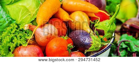 Different Bio Vegetables. Selective Focus. Food Nature.