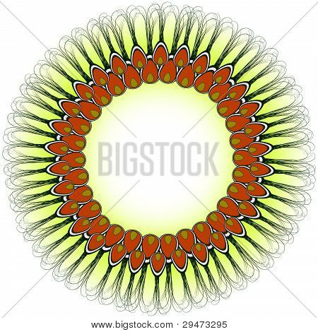 Peacock Design
