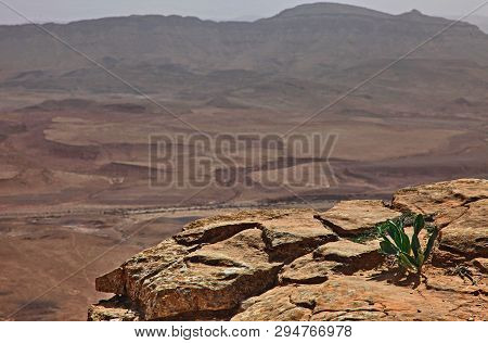 Machtesh Ramon - Erosion Crater In The Negev Desert, The Most Picturesque Natural Landmark Of Israel