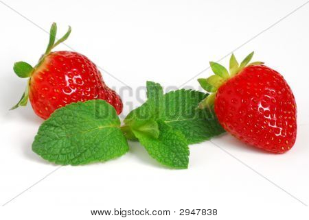 Çilek ve Menthe