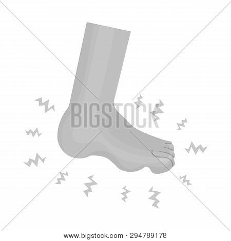 Vector Design Of Foot  And Flatfoot  Sign. Collection Of Foot  And Anatomy  Stock Vector Illustratio