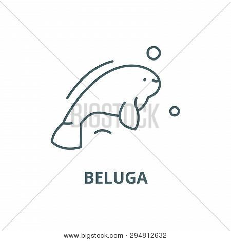 Beluga Line Icon, Vector. Beluga Outline Sign, Concept Symbol, Flat Illustration