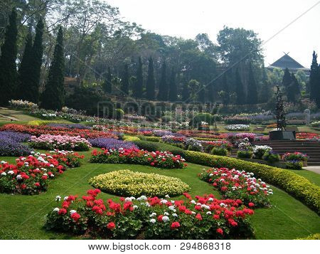 Flowers In Botanical Gardens Of India, Colorful And Beautiful