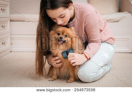 Teenage Girl With A Dog Breed Spitz Rejoices With A Pet At Home On The Floor. Care And Training Of A