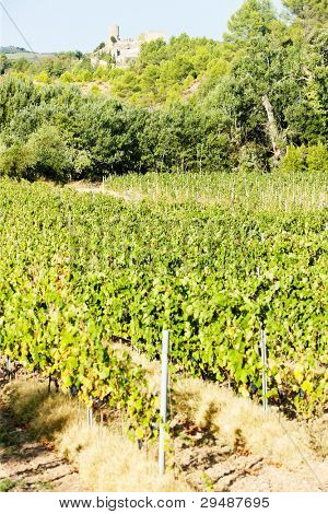 ปราสาทในเดอร์บาน Corbiere กับไร่องุ่น Languedoc Roussillon ฝรั่งเศส