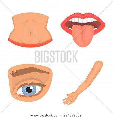 Vector Design Of Body And Part Icon. Set Of Body And Anatomy Stock Symbol For Web.