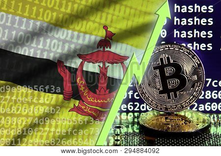 Brunei Darussalam Flag And Rising Green Arrow On Bitcoin Mining Screen And Two Physical Golden Bitco