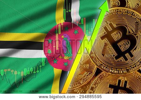 Dominica Flag And Cryptocurrency Growing Trend With Many Golden Bitcoins