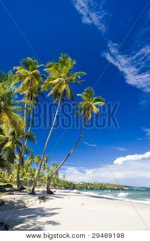 Cumana Bay, Trinidad