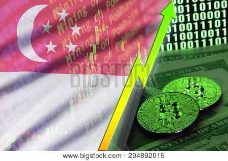 Singapore Flag And Cryptocurrency Growing Trend With Two Bitcoins On Dollar Bills And Binary Code Di
