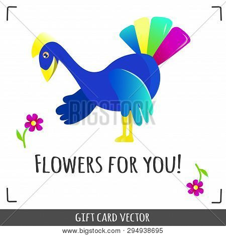 Funny Greeting Card Or Poster. A Bird Peacock Picking A Flower For You. Bright Colored Vector Illust