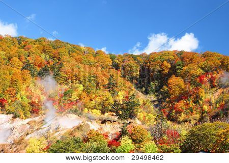 Autumn Forest  Against Blue Sky