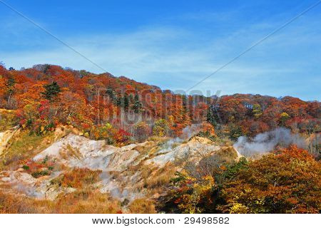 Autumn Forest  Against Blue Sky