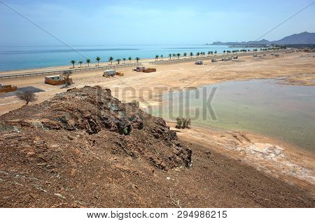 Arabian peninsula landscape and long Dibba beach with line of palm trees on Gulf of Oman, Fujairah, United Arab Emirates