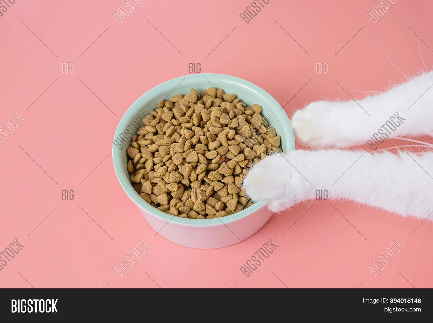 Cat Dry Food Bowl Paws Image & Photo (Free Trial) Bigstock