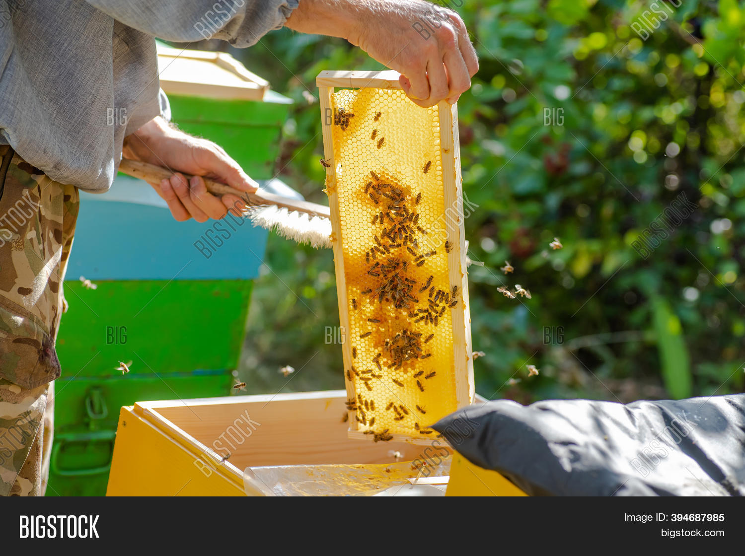 Beehive Spring Image & Photo (Free Trial) | Bigstock