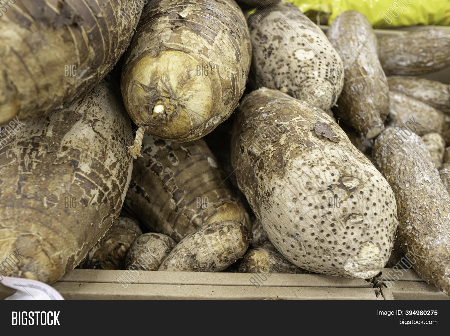 Coco Yam Taro Root On Image & Photo (Free Trial) Bigstock