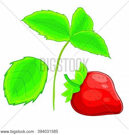 Strawberry Set From Berry Leaf And Stem, Cartoon Illustration, Isolated Object On White Background, 