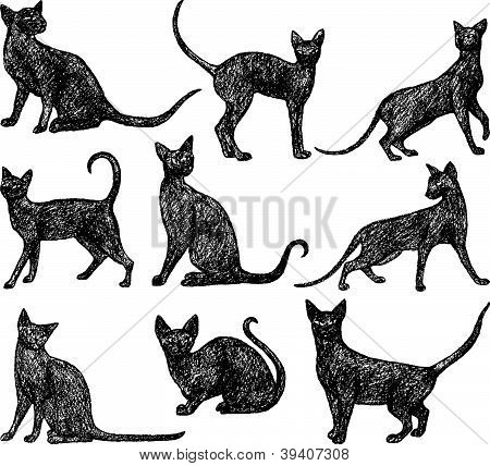 Černý Cats.eps